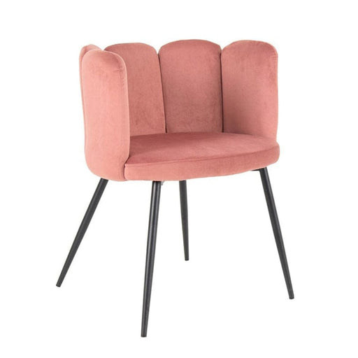 elevenpast kitchen stool Pink Boudoir Chair - Velvet with Steel Legs 1391145 633710857901