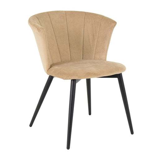 elevenpast Ivory Replica Kendall Velvet Chair - Metal and Velvet 1391367