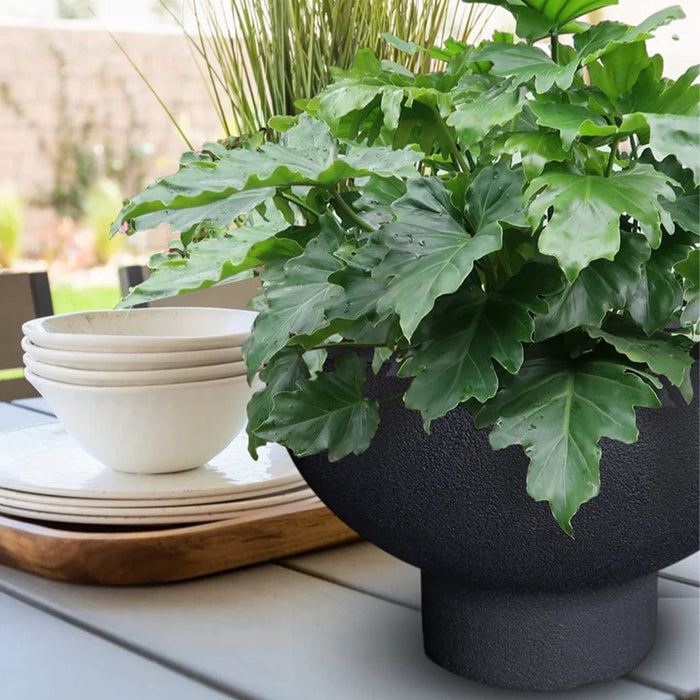elevenpast Pots & Planters Atlas Japi Bowl Black