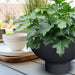 elevenpast Pots & Planters Atlas Japi Bowl Black