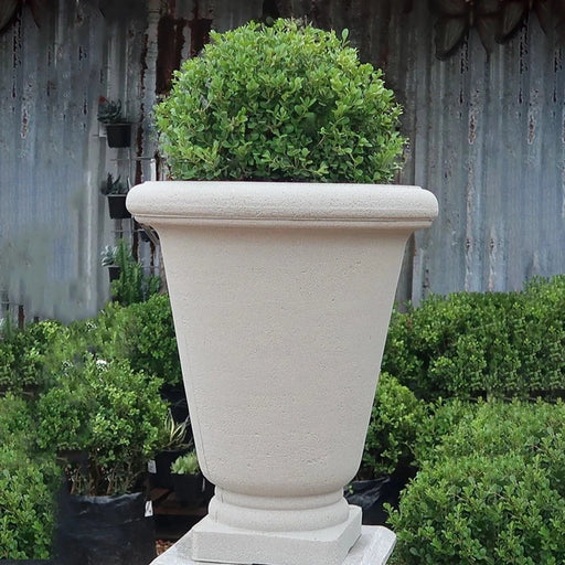 elevenpast plant bowl Bell Urn Japi Planter in Sandstone | Lead - 2 Sizes