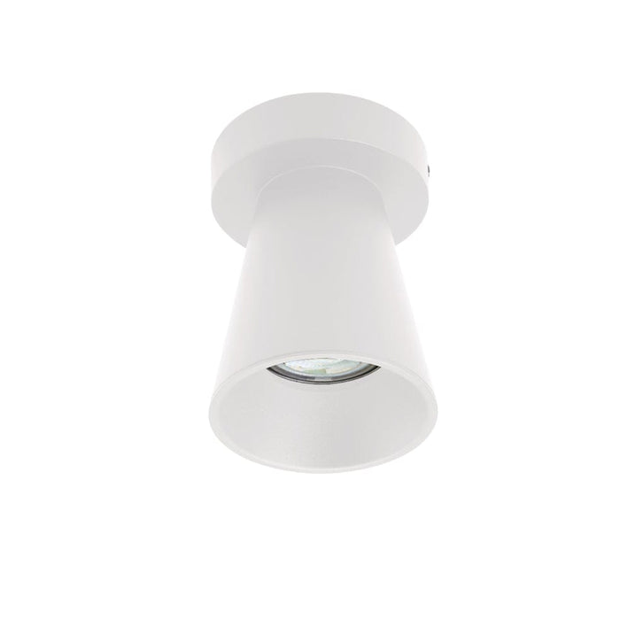 elevenpast DOWNLIGHT White Kiddush Downlight | 3 Colours 2470.31