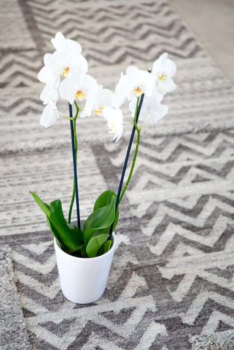 Voke Rugs Wool Tribe