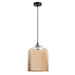 elevenpast Pendant Bell Jar Glass Pendant Light | 3 Colours