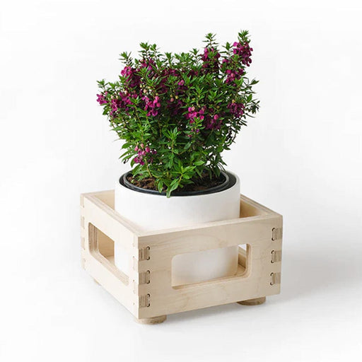 elevenpast Pots & Planters Birch Planter Box Single | Double | Triple
