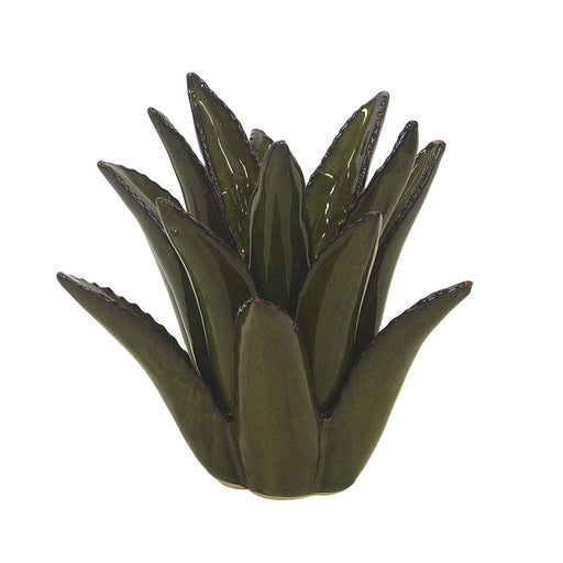 elevenpast Decor Ceramic Spiked Aloe Green | Mustard
