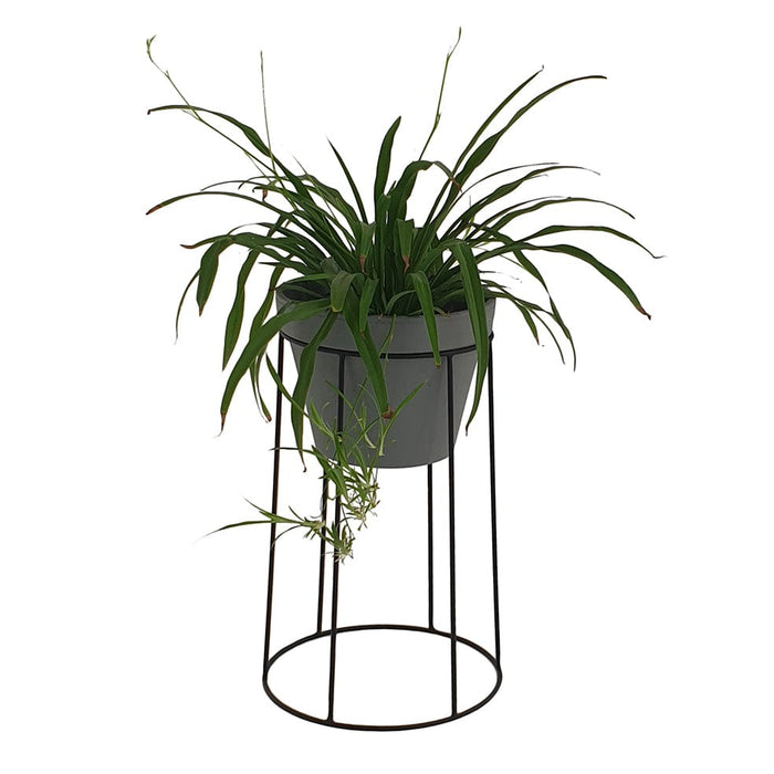 elevenpast Tube metal Planter
