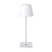 elevenpast table lamp White Lolly Rechargeable Table Lamp | 3 Colours - COMING SOON! 4675.3031
