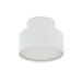 elevenpast Outdoor Medium / White Caracal Ceiling Light 8960.3031