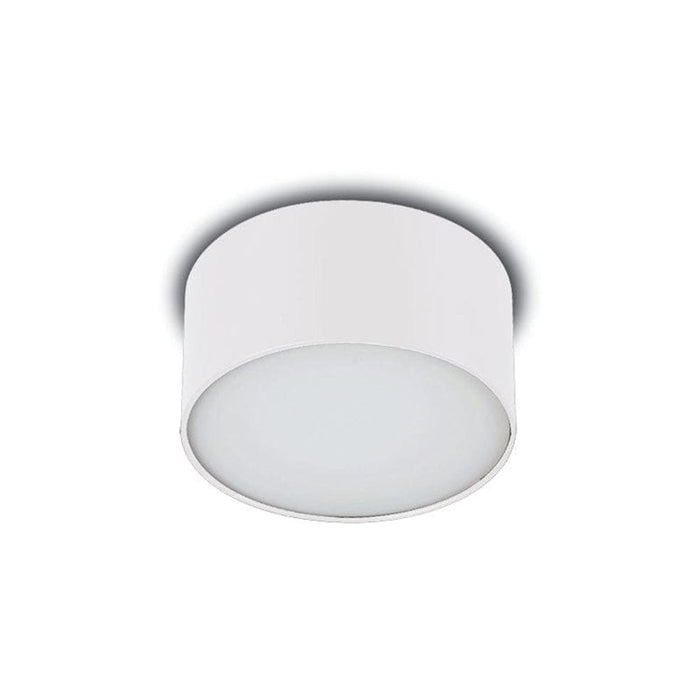 elevenpast Outdoor White / Medium Broadmerst Ceiling Light 8962.3031