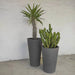elevenpast Pots & Planters European Conic Japi Planter in Lead - 3 Sizes