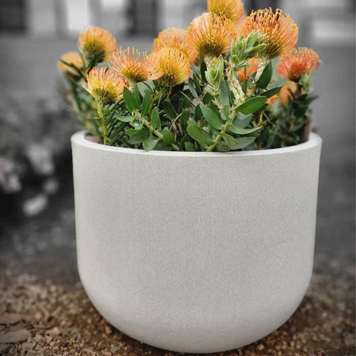 elevenpast Pots & Planters Fringe Round Japi Planter White