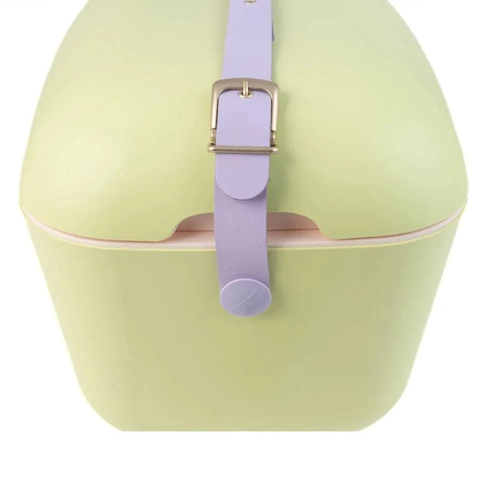 elevenpast Beverage Cooler Polarbox Retro Cooler Box 12L | 20L Lime and Malva