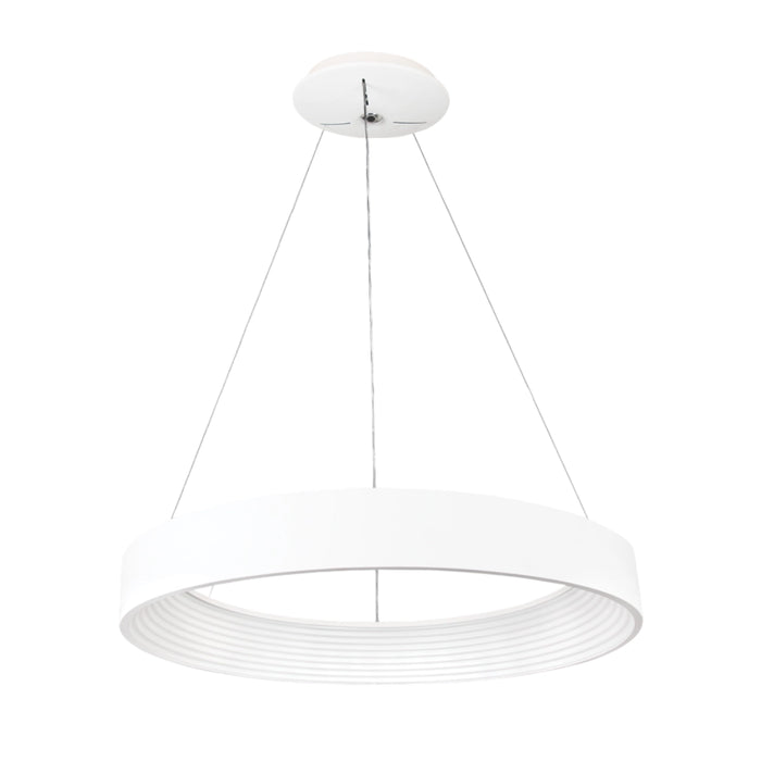LED Ceiling Ring CCT Pendant Light 60cm - White | Black