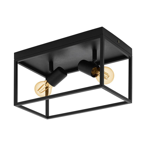 elevenpast Ceiling Light Silentina Steel Ceiling Light Black | Two Lights C689 9002759983321