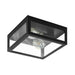 elevenpast Ceiling Light Amezola Ceiling Light Black C703B 9002759991227