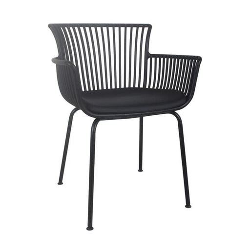 elevenpast Chairs Black Amanzi Armchair with Cushion | Black or Green CAPP778BLKBLACK