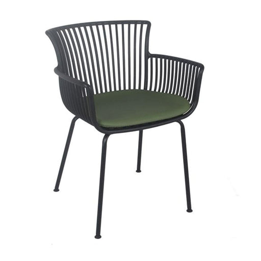 elevenpast Chairs Black & Green Amanzi Armchair with Cushion | Black or Green CAPP778BLKGREEN