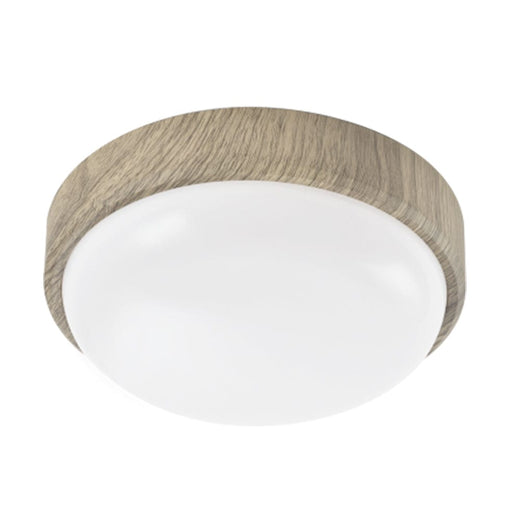 elevenpast Chandeliers Small / Shell Poly Ceiling Light CF126 WOOD 6007226076295