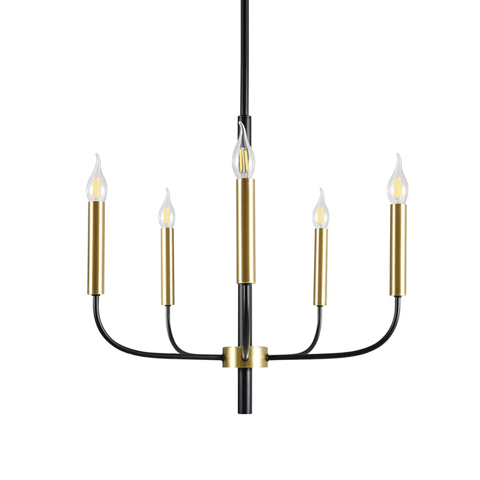 elevenpast Chandelier 5 Light Regency Black and Gold Metal Chandelier - 5 Light | 10 Light CH714/5 GD/BK 6007226090666