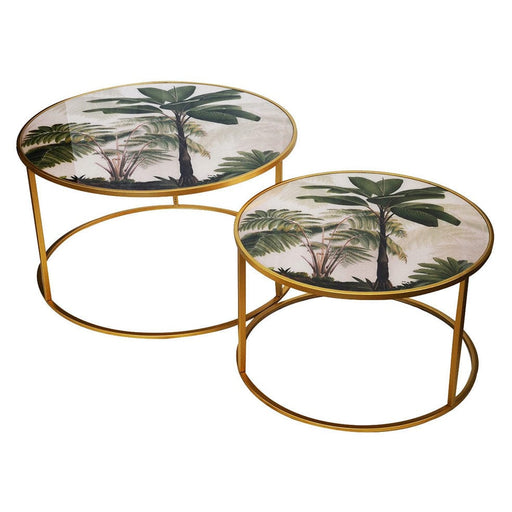 elevenpast Accent Tables Coco Palm Coffee Tables set of 2 - Gold with glass Top CPTS2 633710856928
