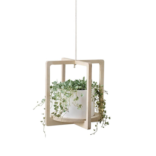 elevenpast Pots & Planters Cube Hanging Pot Plant Holder CUBEHANGINGPOTPLANTHOLDER