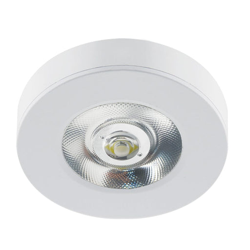 elevenpast DOWNLIGHT Medium / White Reid Metal Downlight White or Black | Small or Medium DL117 WHITE 6007226084498