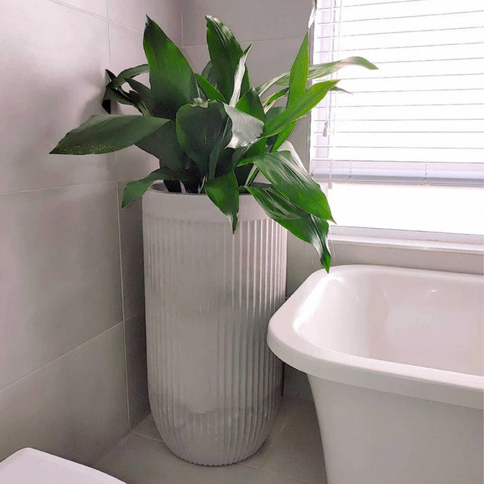 elevenpast Pots & Planters Flute Tall Japi Planter Grey