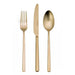 elevenpast cutlery set Nardo Champagne 16pc Cutlery Set ET1249-BP16