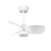 Spazio Ceiling Fans Fan Tasy Ceiling Fan with LED Light FA.002.31