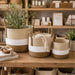 elevenpast woven basket set Woven Storage Basket Set (Set of 3) – Natural, White and Brown GY101