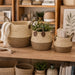 elevenpast woven basket set Woven Storage Basket Set of 3 with Handles – Natural Two-Tone GY201