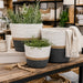 elevenpast woven basket set Woven Storage Basket Set of 3– White, Grey and Natural GY2521