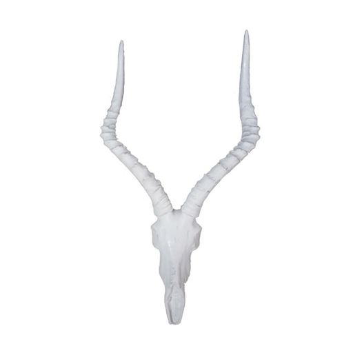 elevenpast Impala Horns Resin Ornament White IMPALAWH