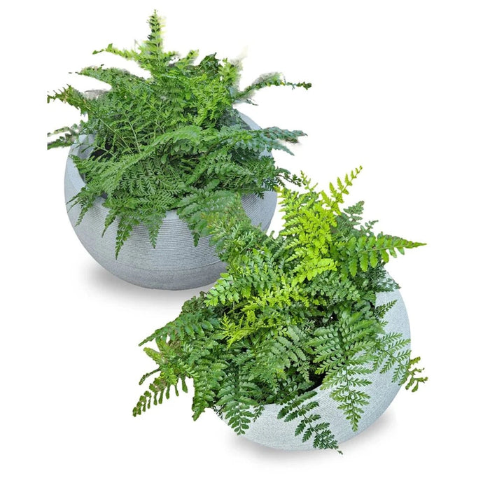 elevenpast plant bowl Linear Japi Bowl in Granite JVEL53A