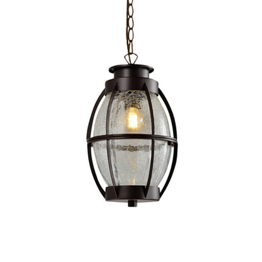 elevenpast Outdoor Oval Glass Outdoor Pendant LS0026