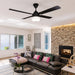 elevenpast Ceiling Fan High Breeze 4 Blade Aluminium Black with Cleo Light Kit MHBB4120REG1F1SCLEO