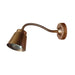 Flex Antique Brass Adjustable Wall Light 