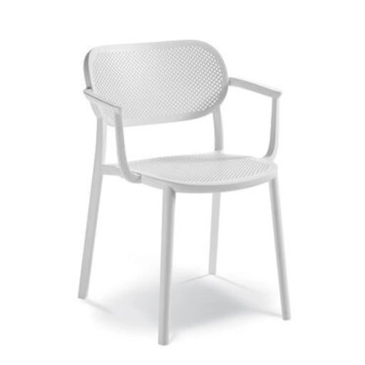 Nuta Polyprop Armchair in Black | Green | White 