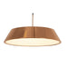 elevenpast Felix LED Pendant P1089RG