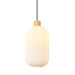 elevenpast pendant light Nesta 2 Wood and Glass Pendant Light P1361