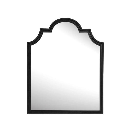 elevenpast Mirrors Black Rem Mirror | 2 Colour PMM-REM