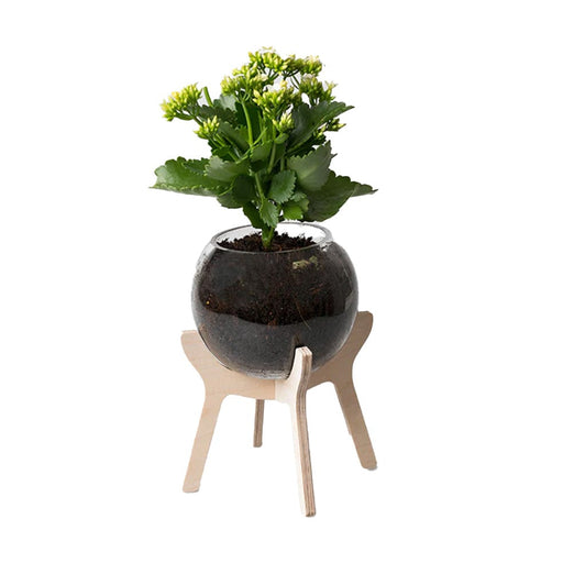 elevenpast Pots & Planters Poitjie Pot Plant Holder POITJIEPOTPLANTHOLDER