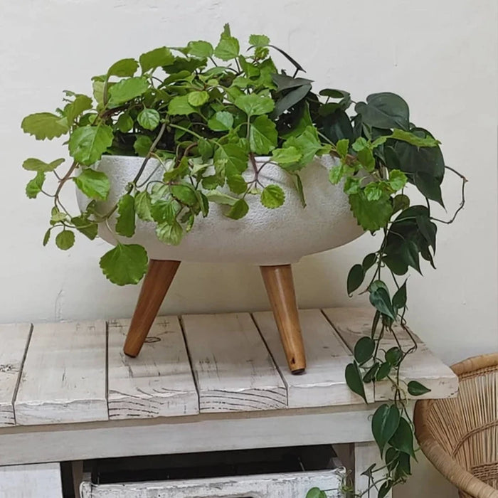 elevenpast Pots & Planters Rustic Bowl Japi Planter Cache Pot With Stand - Various Colours