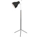 elevenpast Lamps Twig Floor Lamp Black SL005 SL005 BK 6007226054170