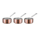 elevenpast saucepan Pan Scanpan Maitre D' Mini Saucepan Set 6cm, 0.08L SP77000301/6