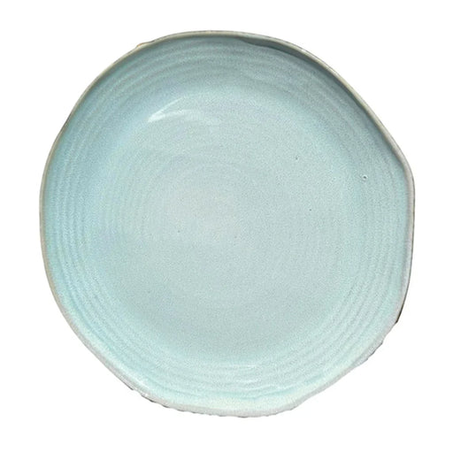 elevenpast Ceramic Speckled Blue Dinner Plate | Set Of 6 TM24ST0103931