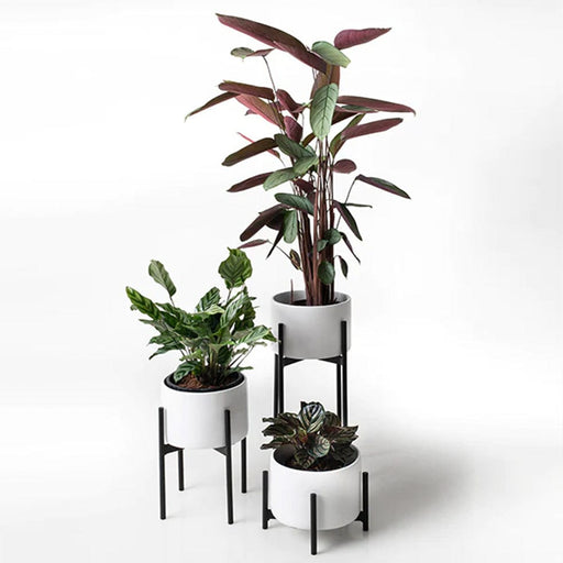 elevenpast Pots & Planters Trio Metal Planter Set TRIOMETALPLANTERSET