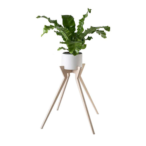 elevenpast Pots & Planters Xeno Pot Plant Holder XENOPOTPLANTHOLDER