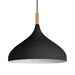 elevenpast pendant light Black Bellwood Pendant Light - White | Black | Grey Y-KLCH-5131/BL